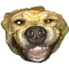 Murphy's Site icon